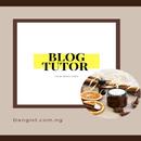 Blog Tutor APK