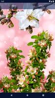 Flower Blossom Live Wallpaper syot layar 3