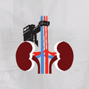 NEFRO 2024 APK