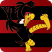 Jogos do Flamengo