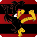 Jogos do Flamengo