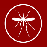 Dengue ícone