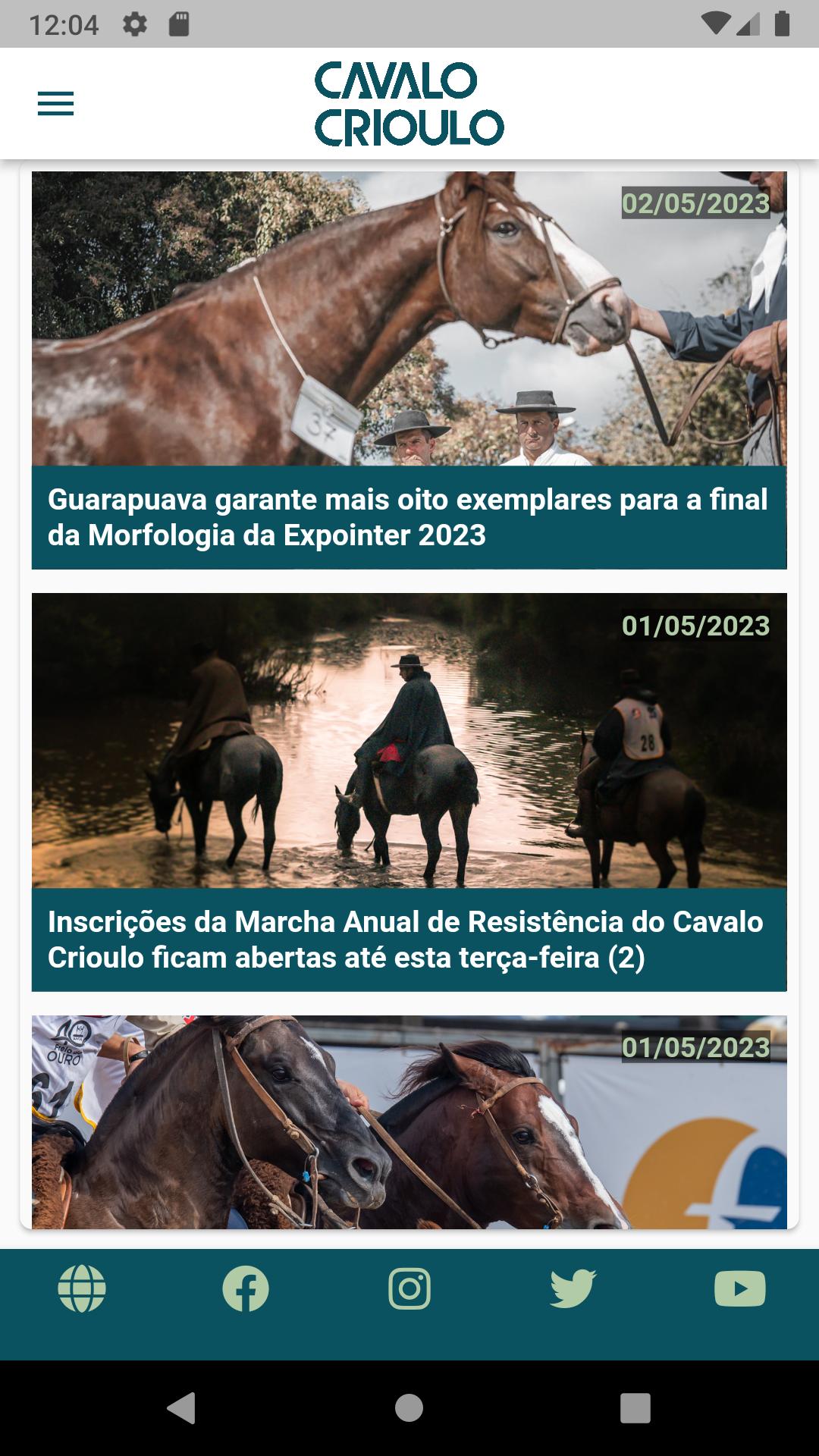 Cavalo crioulo