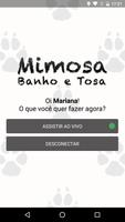 Mimosa Banho e Tosa पोस्टर
