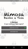 Mimosa Banho e Tosa Cartaz