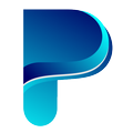 Politicar