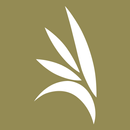 Shopping Eldorado-APK