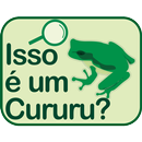 Isso é um Cururu? APK