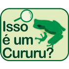 Isso é um Cururu? icône