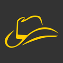 Top Hits Sertanejo APK