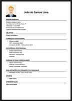 Curriculum Profissional تصوير الشاشة 1