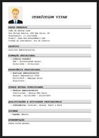 Curriculum Profissional تصوير الشاشة 2