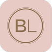 Blink Lab
