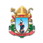 Diocese de Porto Nacional 아이콘
