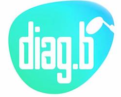 Diag.B স্ক্রিনশট 2