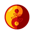 Fitoterapia Chinesa Brasileira