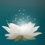 MINHA ESPIRITUALIDADE ícone