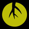 Arroz TV APK