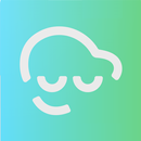 Carzen - consultas veiculares APK