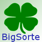 BigSorte icône