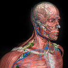 Introdução à Anatomia Humana 图标