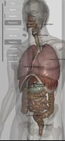 Introdução à Anatomia Humana تصوير الشاشة 1
