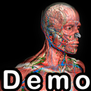 Demo Introd. à Anatomia Humana APK
