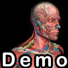 Demo Introd. à Anatomia Humana icône