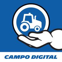 Campo Digital постер