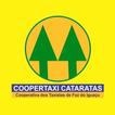 Coopertaxi Cataratas