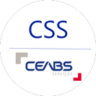CSS ADMINISTRADOR icône