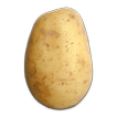 Potato