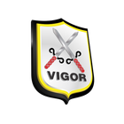 Vigor icône