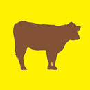 Cattle Weight - Calculator APK