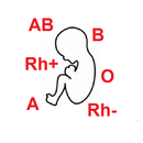Tipo Sanguíneo do Bebê APK