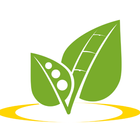 Coplacana icon