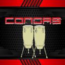 Congas & Bongos APK