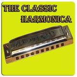 Harmonica ikona