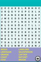 Word Search poster