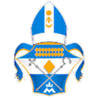 Diocese de Franca icône
