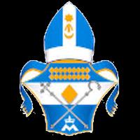 Diocese de Franca Affiche