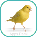 Sons Belgian Canary - Letterhead and bell. APK