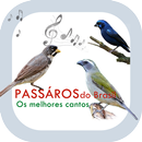 Cantos de Pássaros do Brasil APK