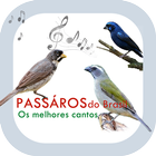 Cantos de Pássaros do Brasil icône