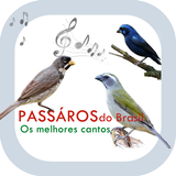 Cantos de Pássaros do Brasil アイコン
