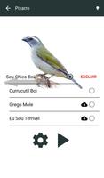 Cantos de Pássaros do Brasil capture d'écran 2