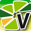 Rádio Videira FM 88,5 APK