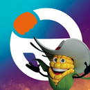CARRIM - MOTORISTA APK