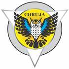 CORUJA EXPRESS - Motorista icon