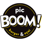 Pic Boom Delivery icône